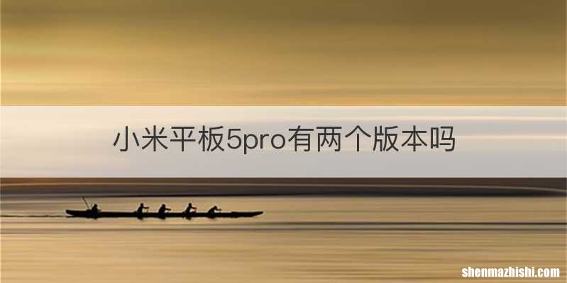 小米平板5pro有两个版本吗