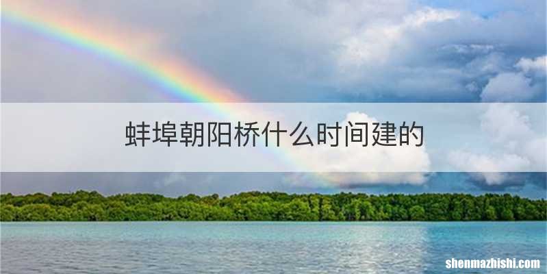 蚌埠朝阳桥什么时间建的
