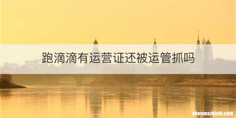 跑滴滴有运营证还被运管抓吗