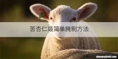 苦杏仁最简单腌制方法