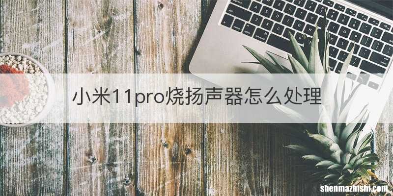 小米11pro烧扬声器怎么处理