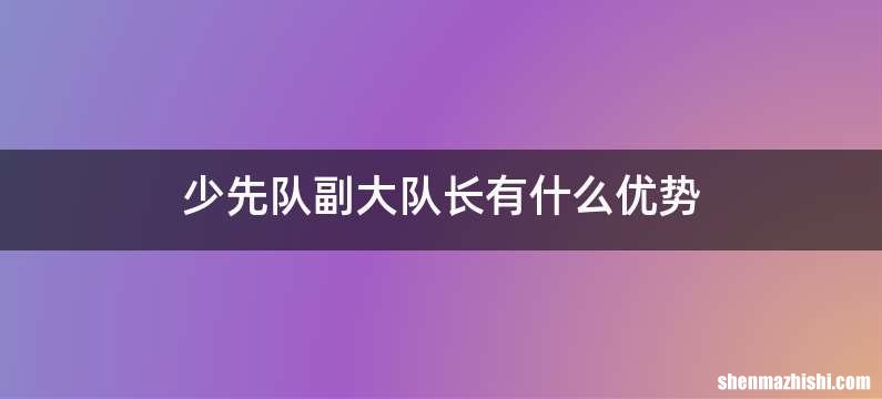 少先队副大队长有什么优势