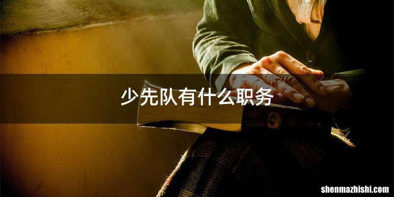 少先队有什么职务