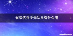 省级优秀少先队员有什么用