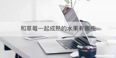 和草莓一起成熟的水果有哪些