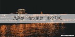 凤梨萝卜和水果萝卜哪个好吃