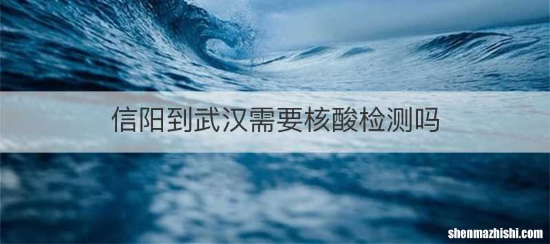 信阳到武汉需要核酸检测吗
