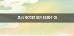 乌拉圭和韩国足球哪个强