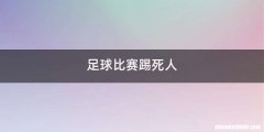 足球比赛踢死人