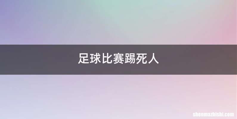 足球比赛踢死人