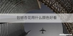 包银杏花用什么颜色好看