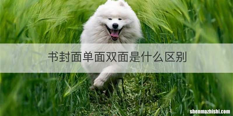 书封面单面双面是什么区别