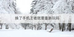 换了手机王者就要重新玩吗
