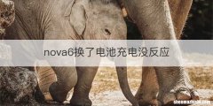 nova6换了电池充电没反应