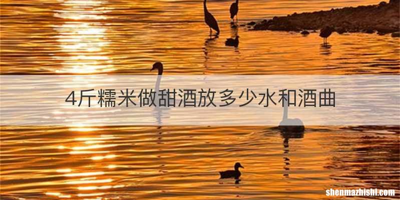 4斤糯米做甜酒放多少水和酒曲