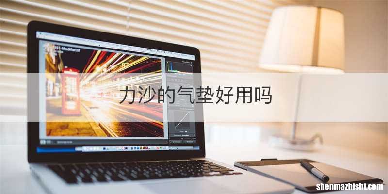 力沙的气垫好用吗