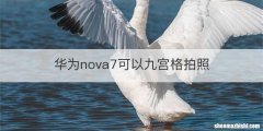 华为nova7可以九宫格拍照