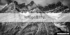 td和gd是什么