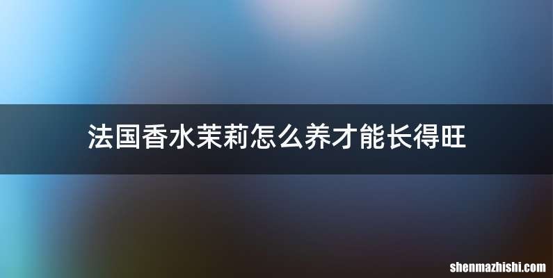 法国香水茉莉怎么养才能长得旺
