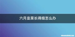 六月韭菜长得细怎么办