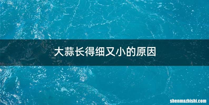 大蒜长得细又小的原因