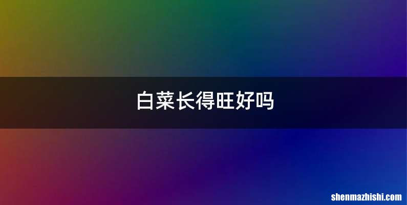 白菜长得旺好吗