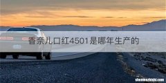 香奈儿口红4501是哪年生产的