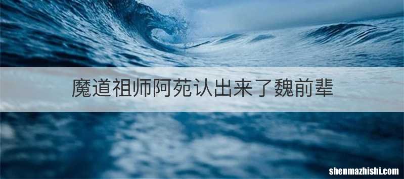 魔道祖师阿苑认出来了魏前辈
