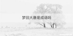 梦回大唐是成语吗