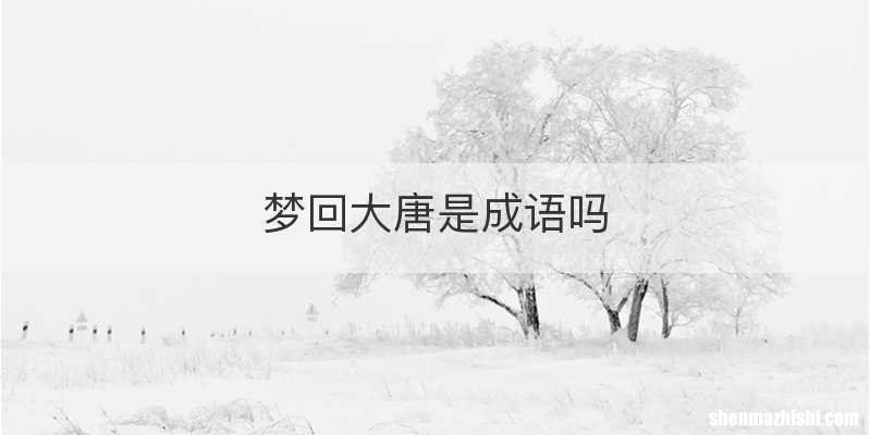 梦回大唐是成语吗