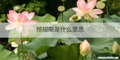 预招商是什么意思
