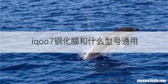 iqoo7钢化膜和什么型号通用