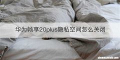 华为畅享20plus隐私空间怎么关闭