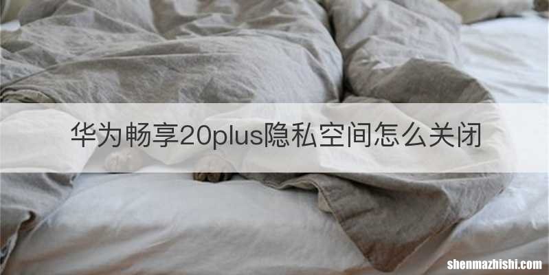 华为畅享20plus隐私空间怎么关闭