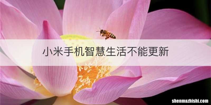 小米手机智慧生活不能更新