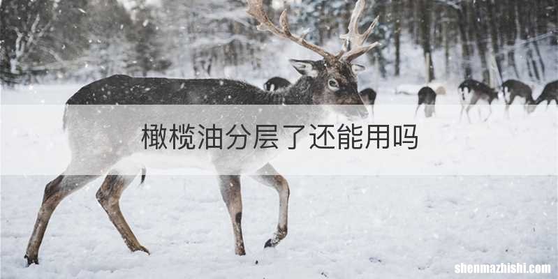 橄榄油分层了还能用吗