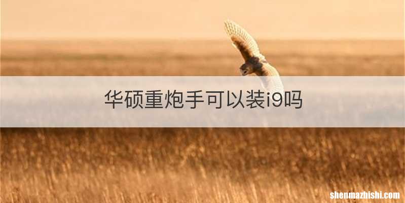 华硕重炮手可以装i9吗