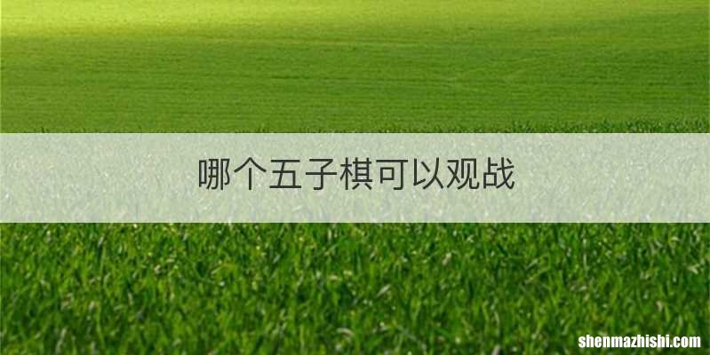 哪个五子棋可以观战