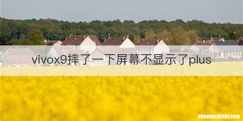 vivox9摔了一下屏幕不显示了plus