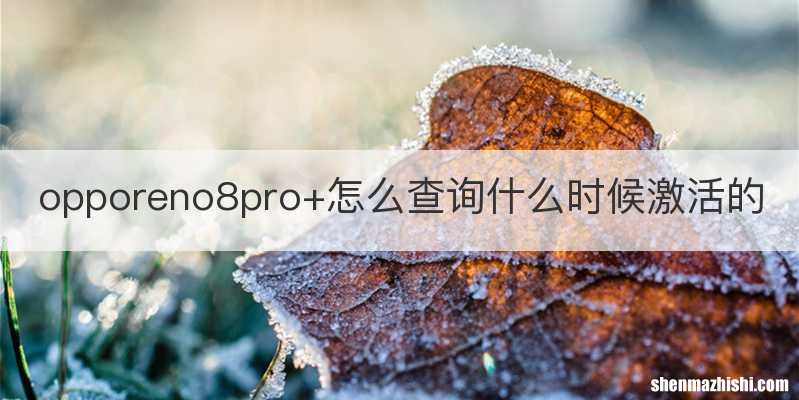 opporeno8pro+怎么查询什么时候激活的
