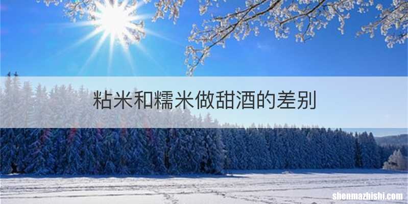 粘米和糯米做甜酒的差别