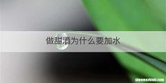 做甜酒为什么要加水