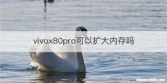 vivox80pro可以扩大内存吗