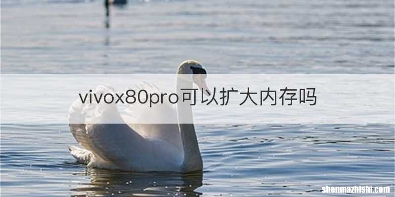 vivox80pro可以扩大内存吗