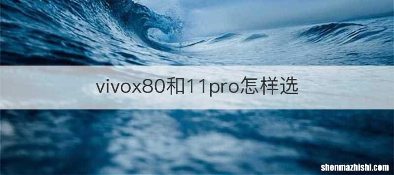 vivox80和11pro怎样选