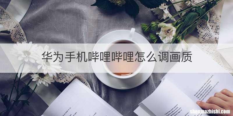 华为手机哔哩哔哩怎么调画质