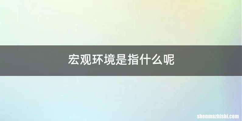 宏观环境是指什么呢