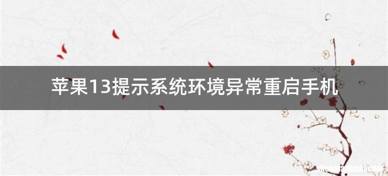 苹果13提示系统环境异常重启手机