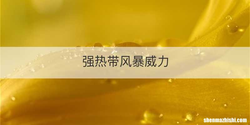 强热带风暴威力