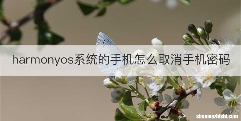 harmonyos系统的手机怎么取消手机密码